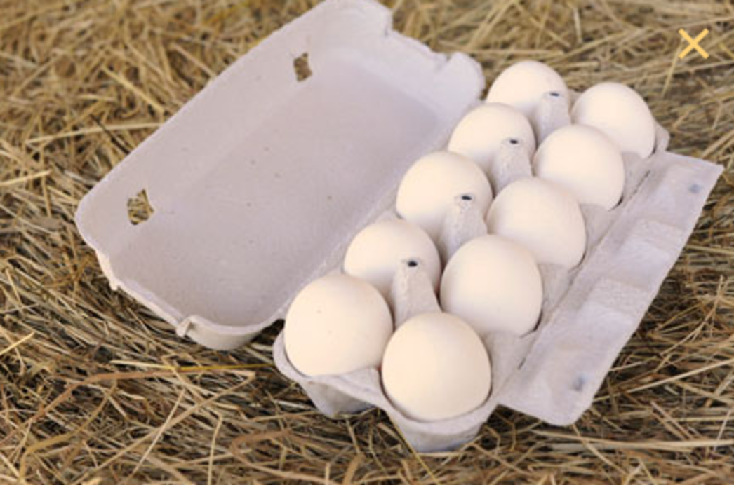 Freilandeier von Bauer Bruno aus der Region direkt zu Ihnen geliefert mit der Post.
Eier von glücklichen Hühnern, für glückliche Kunden.