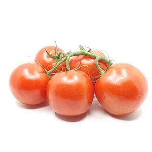 Eigenprodukt vom Bodenhof

Gewicht pro Tomate: 150 gr.
